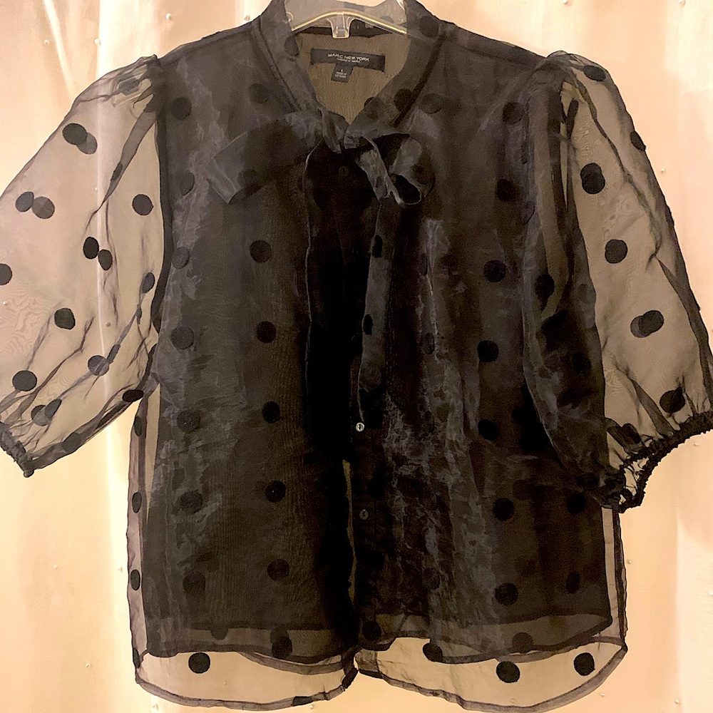 Beautiful black sheer blouse with dots